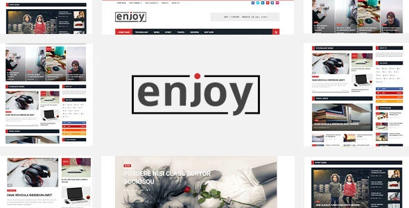 Enjoy – WordPress Magazine and Blog Theme